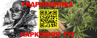 тгк Ставрополь