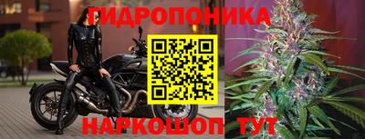 шишки Старая Купавна