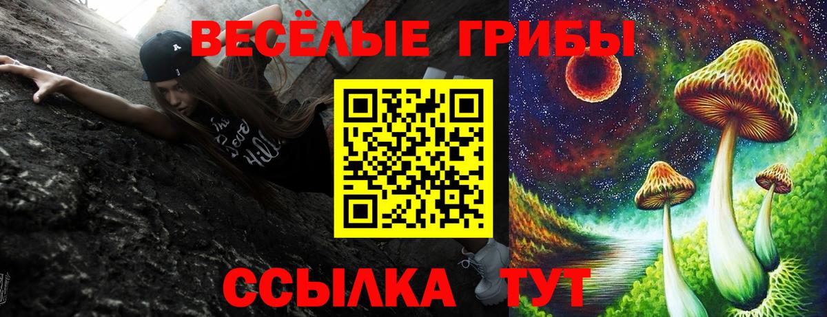Псилоцибиновые грибы прущие грибы Партизанск