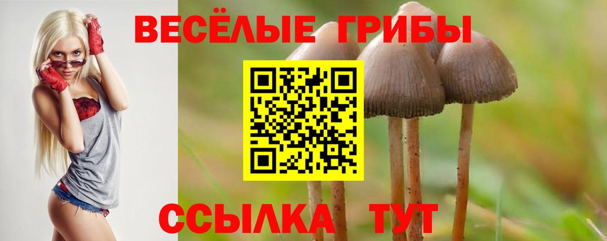 Псилоцибиновые грибы прущие грибы  Вход с VPN  Партизанск 